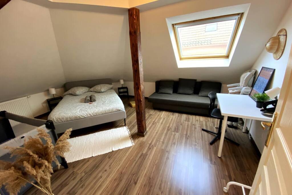 Apartmán 10Min Bus Strasbourg Centre-Parking Prive-Wifi-Tv Bischheim Exteriér fotografie